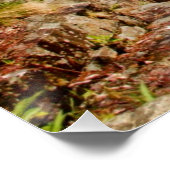 Brug over de rivier poster (Hoek)