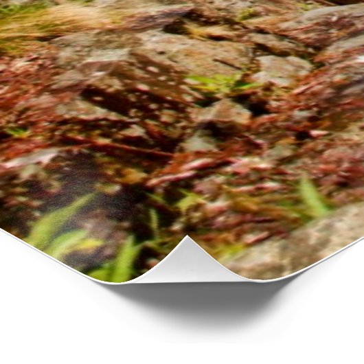 Brug over de rivier poster (Hoek)