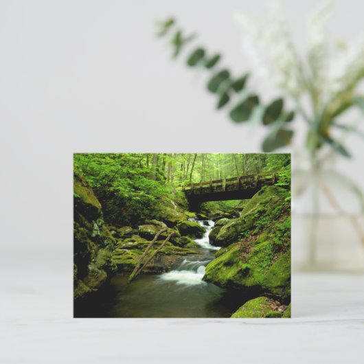 Brug over de Roaring Fork Briefkaart (Staand voorkant)