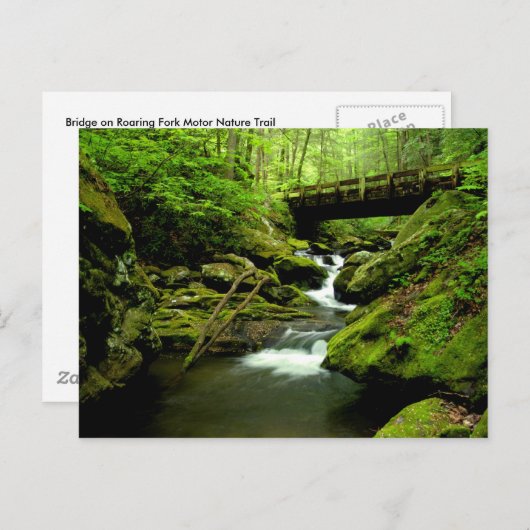 Brug over de Roaring Fork Briefkaart (Voorkant / Achterkant)