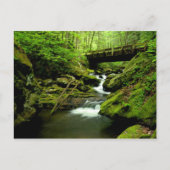 Brug over de Roaring Fork Briefkaart (Voorkant)