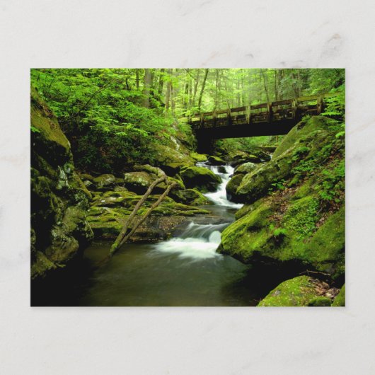 Brug over de Roaring Fork Briefkaart (Voorkant)