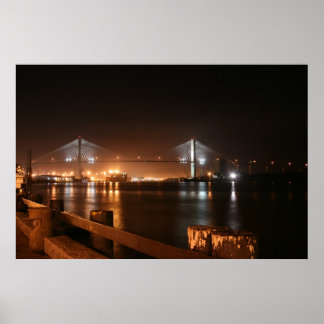 Brug over het Poster van de Savannah