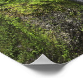 Brug over het watervallandschap poster (Hoek)