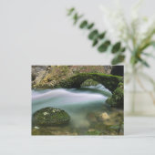 Brug over onbezonnen water briefkaart (Staand voorkant)