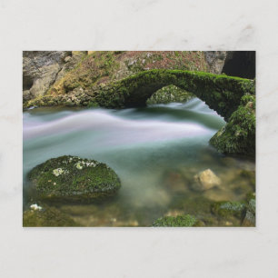 Brug over onbezonnen water briefkaart