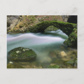Brug over onbezonnen water briefkaart (Voorkant)