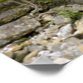 Brug over Stream, Nationaal Park Tsitsikamma Poster (Hoek)