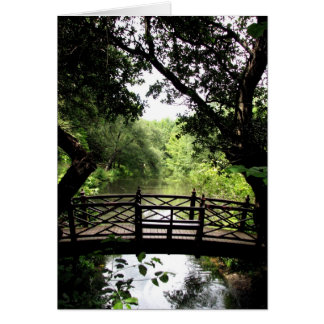 Brug over vreedzaam water
