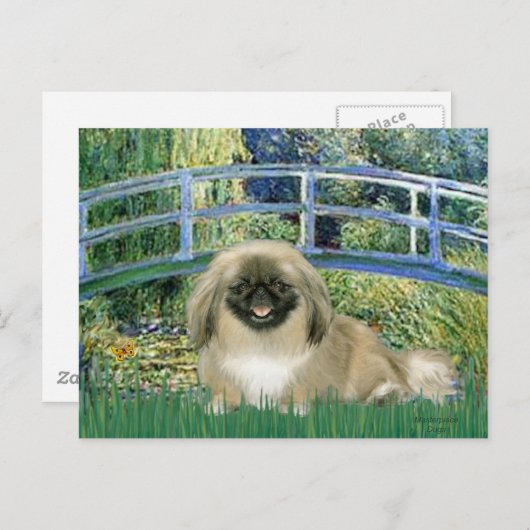 Brug - Pekingees 1b Briefkaart (Voorkant / Achterkant)