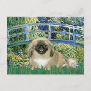 Brug - Pekingees 1b Briefkaart