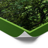 Brug - Portland Japanse tuin Poster (Hoek)