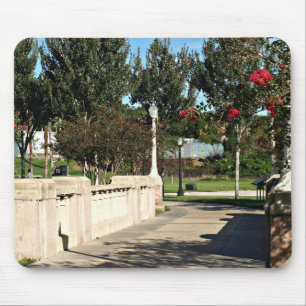 Brug rond Lake Mirror Muismat