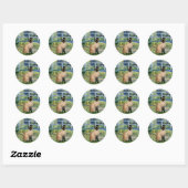 Brug - Seal Point Siamees Ronde Sticker (Vel)