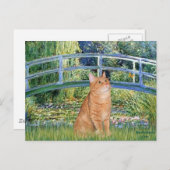 Brug - Sinaasappel Tabby SH cat 46 Briefkaart (Voorkant / Achterkant)