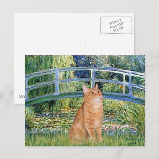 Brug - Sinaasappel Tabby SH cat 46 Briefkaart (Voorkant / Achterkant)