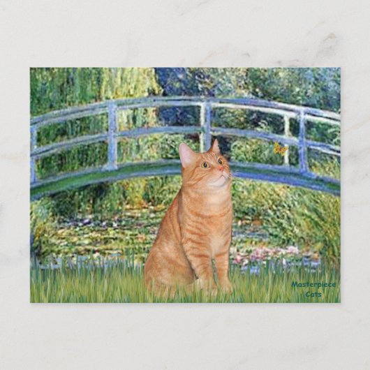 Brug - Sinaasappel Tabby SH cat 46 Briefkaart (Voorkant)