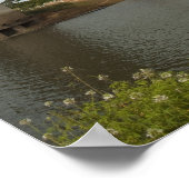 Brug tussen Guyana en Brazilië over Takutu Poster (Hoek)