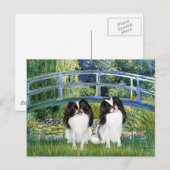 Brug - Twee Japanse Spaniels (2BW) Briefkaart (Voorkant / Achterkant)