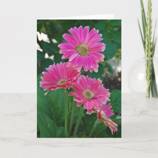 Brug van bloemen - Daisies notecard Kaart (Voorkant)
