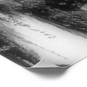 Brug van bloemen gedeeltelijke kleur poster (Hoek)