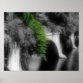 Brug van bloemen gedeeltelijke kleur poster (Voorkant)