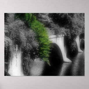 Brug van bloemen gedeeltelijke kleur poster