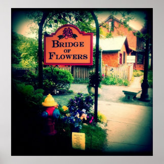 Brug van bloemen poster
