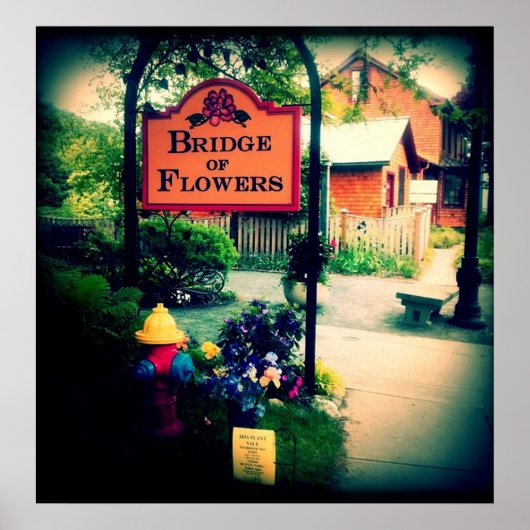 Brug van bloemen poster (Voorkant)