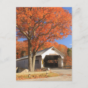 Brug van de West-rivier de Covered en Oak Vermont Briefkaart