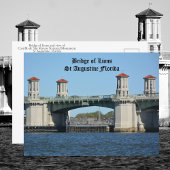 Brug van Lions St Augustine Florida Briefkaart