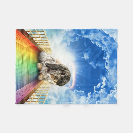 Brug van Vele Kleuren Deken (Voorkant (Horizontaal))