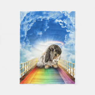 Brug van Vele Kleuren Deken