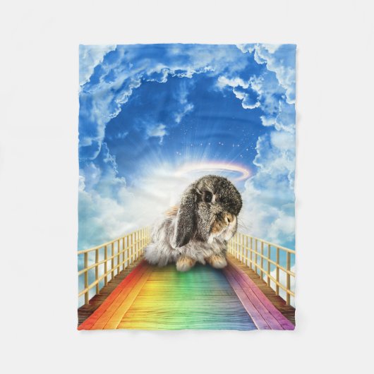 Brug van Vele Kleuren Deken (Voorkant)