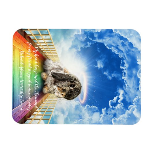 Brug van Vele Kleuren Magneet (Horizontaal)