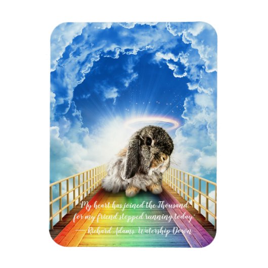 Brug van Vele Kleuren Magneet (Verticaal)