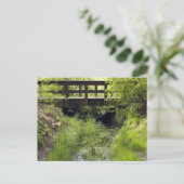 Brug van voetgangers over een Creek Briefkaart (Staand voorkant)