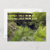 Brug van voetgangers over een Creek Briefkaart (Voorkant / Achterkant)