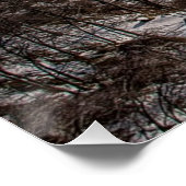 Brug voor beren perfect poster (Hoek)