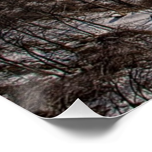 Brug voor beren perfect poster (Hoek)