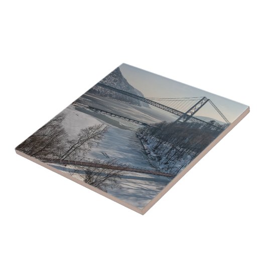 Brug voor beren tegeltje (Zijkant)