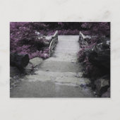 Brug voor zwart en wit briefkaart (Voorkant)