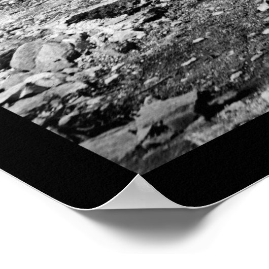 Brug waarvan generaal Longstreet 1864 heeft gedown Poster (Hoek)