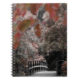 Brug Wandelpad Route In Natuurfotografie Notitieboek