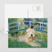 Brug-Wheaten Terrier 1 Briefkaart (Voorkant / Achterkant)
