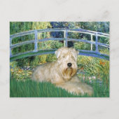 Brug-Wheaten Terrier 1 Briefkaart (Voorkant)