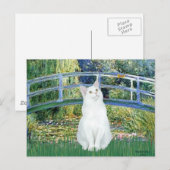 Brug - Witte kortharige kat Briefkaart (Voorkant / Achterkant)