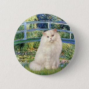 Brug - Witte Perzische kat Ronde Button 5,7 Cm