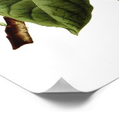 Brugmansia sanguinea (Angel's trompet) Poster (Hoek)