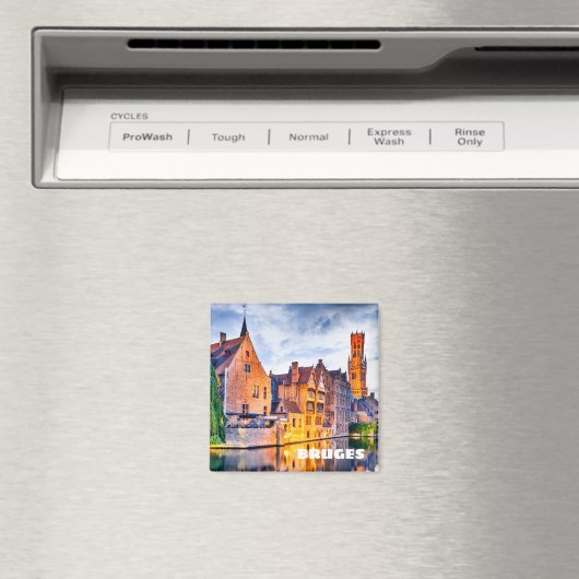 Brugse magneet (Insitu (Vaatwasser))